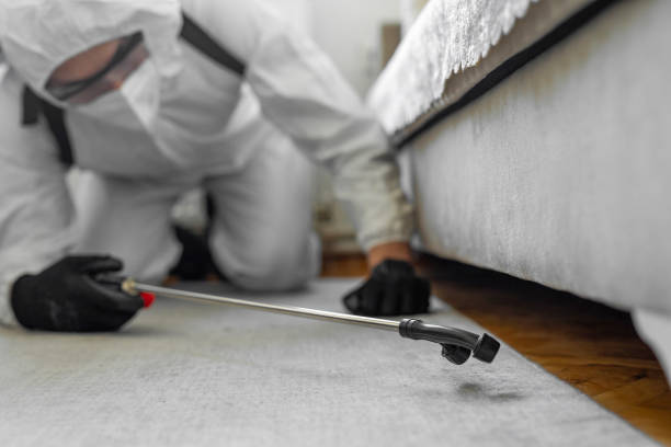 Professional Bed Bug Control technician working in Lake Placid, NY