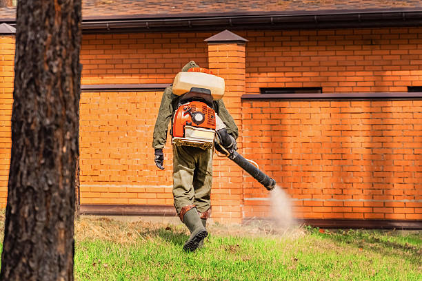 Trusted Termite Control service in Lake Placid, NY - Nex Pest Control